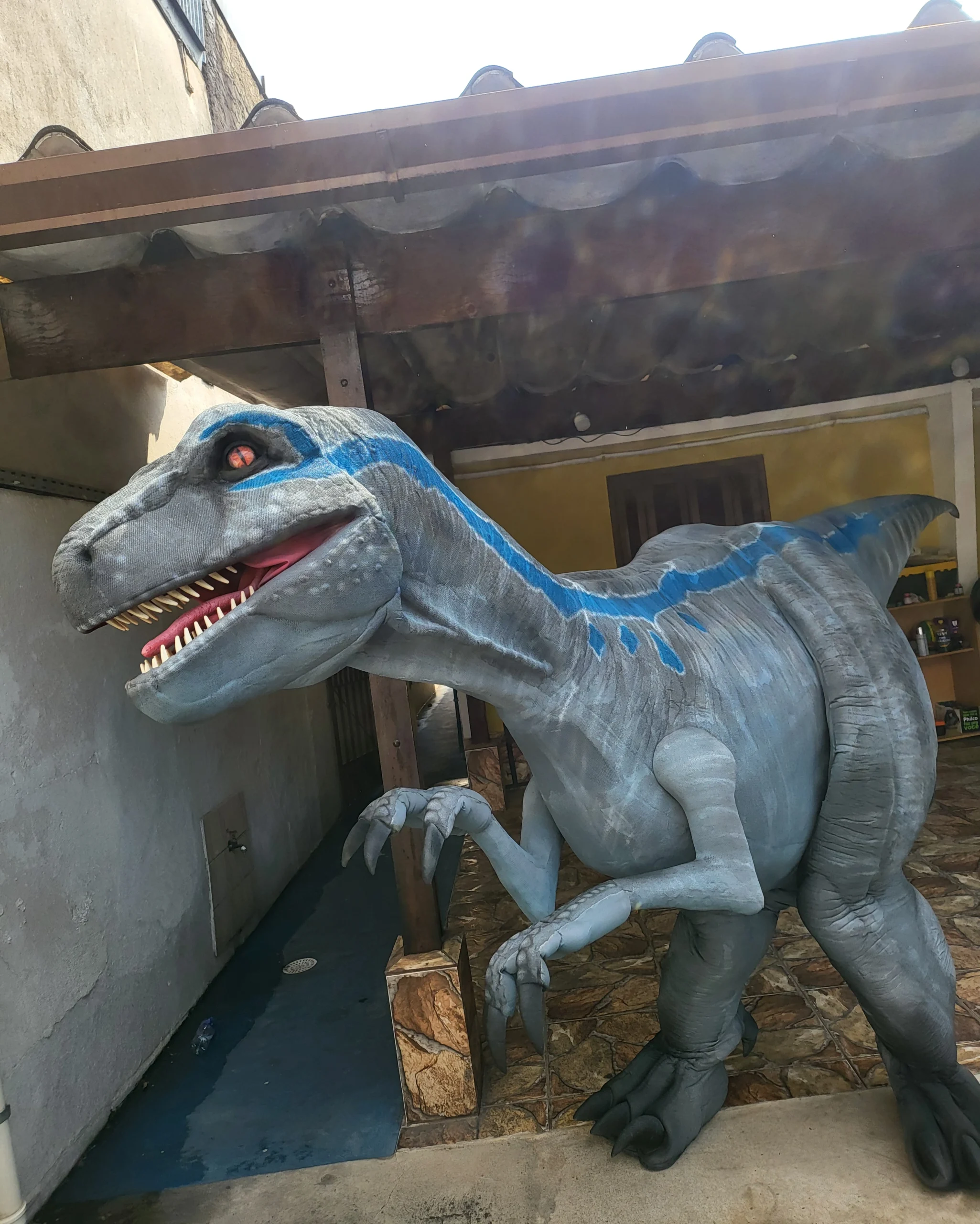 Veloceraptor Blue na festa