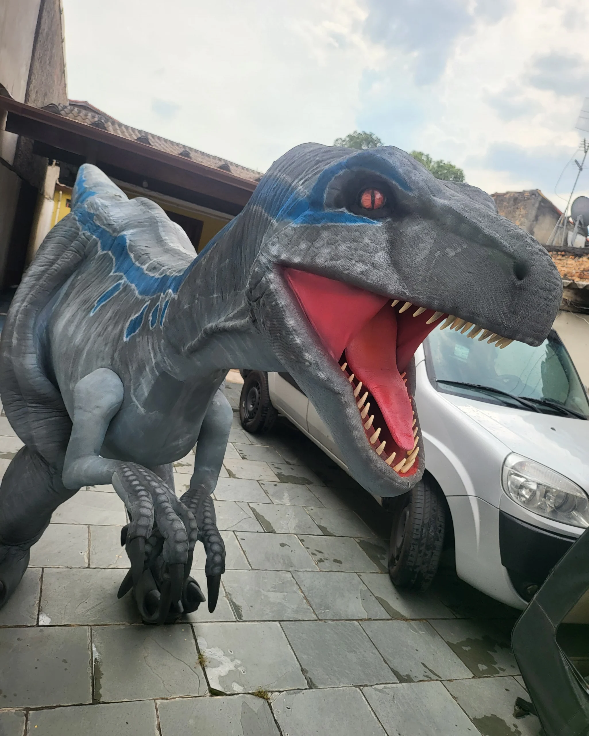 Veloceraptor Blue animando a festa