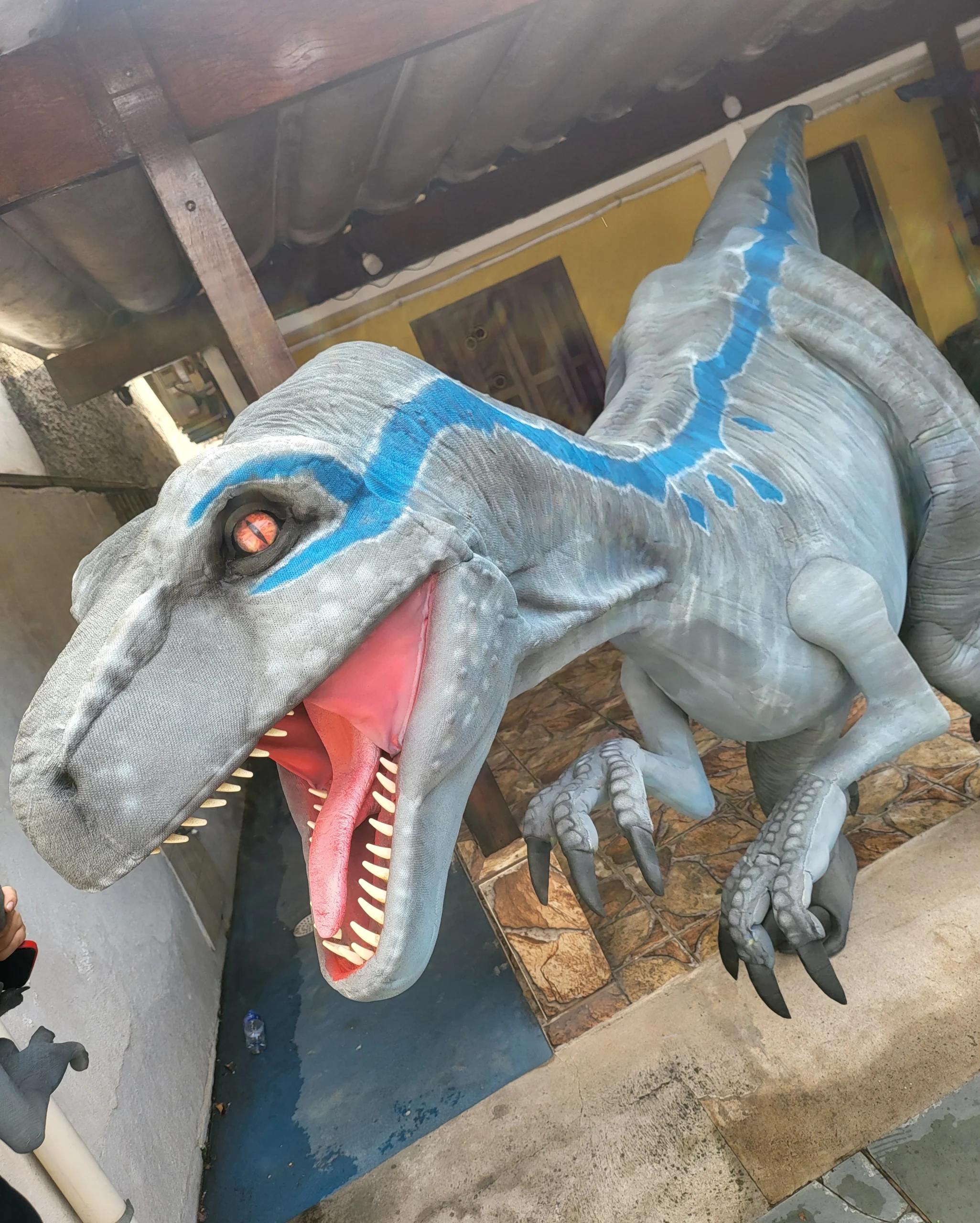 Velociraptor Blue Personagem Vivo animando a festa